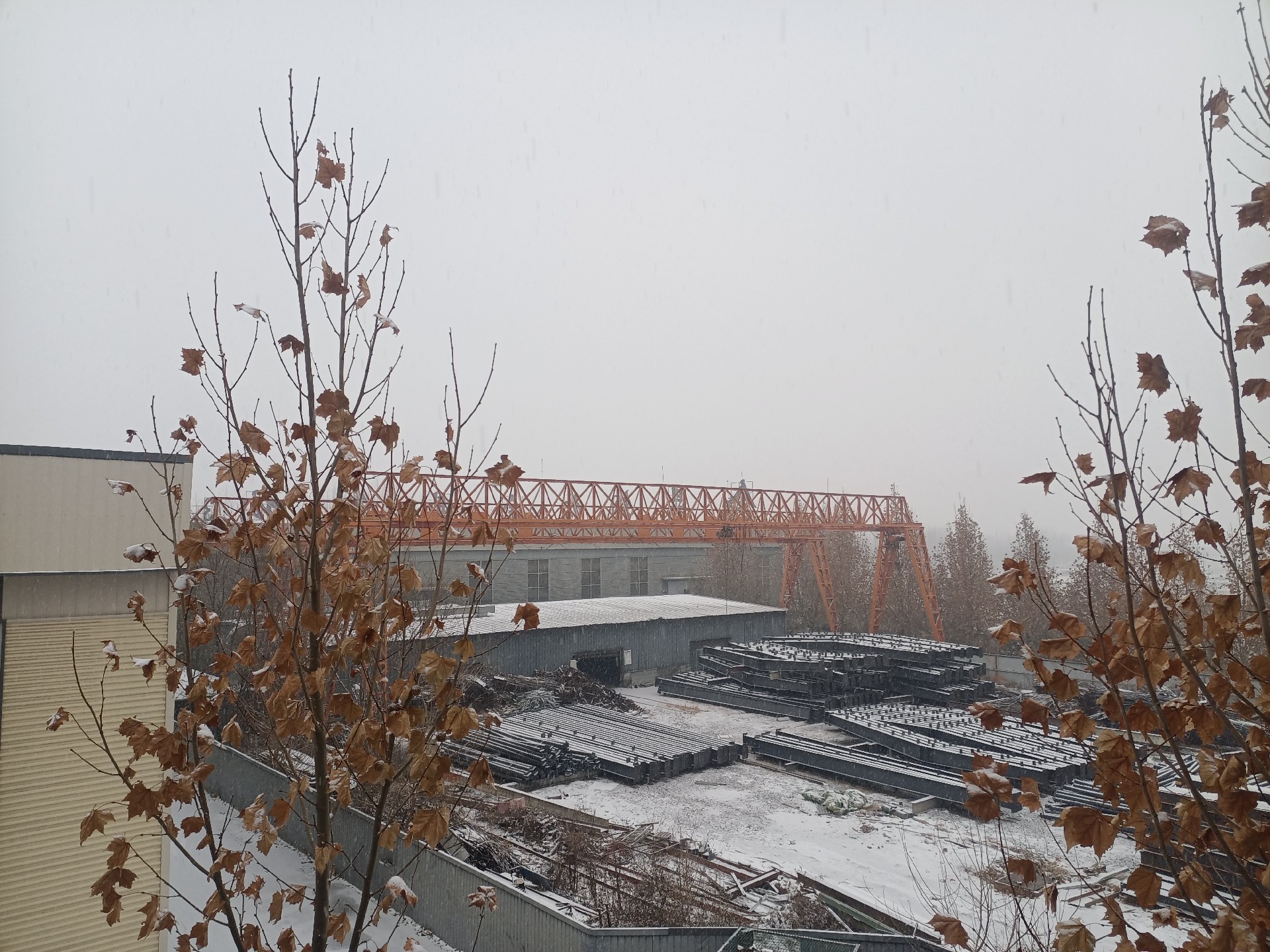 衡水鋼結構,衡水鋼結構廠,衡水鋼結構廠房,衡水鋼結構廠家，衡水廠房車間加工，衡水鋼結構--金鼎鋼構廠雪景貨場